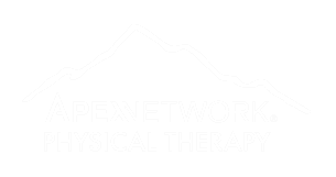 Apexnetwork Physical Therapy Franchise Franchise